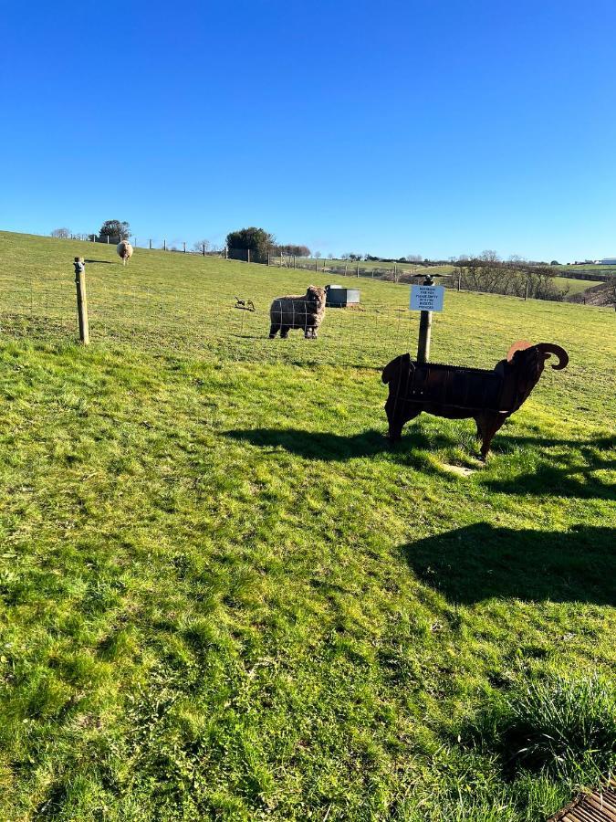 King Richard'S Luxury Lodge - Sleeps Up To 8 ,Dog Friendly ,Near Sherwood Forest At Fairview Farm In Nottingham Set In 88 Acres And Great For Groups,Family Gatherings,Corporate Events Экстерьер фото